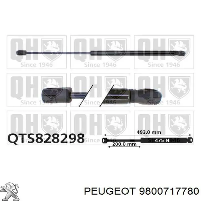 Amortiguador de maletero 9800717780 Peugeot/Citroen