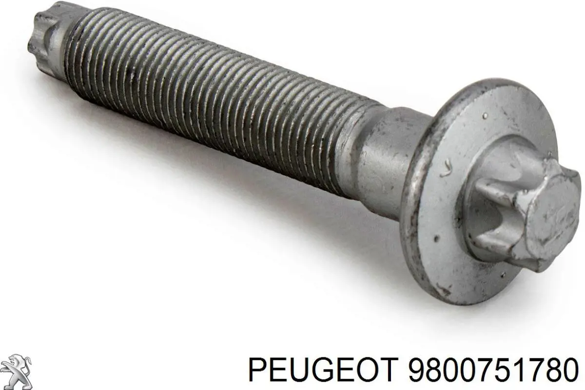 9800751780 Peugeot/Citroen 