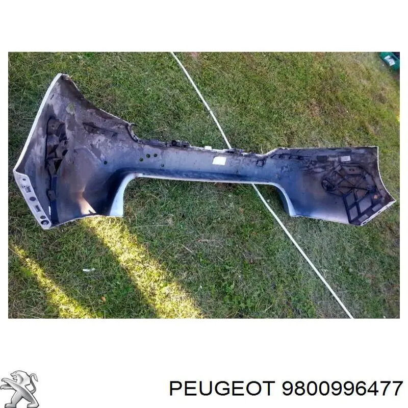 Купить 9800996477 Peugeot/Citroen 