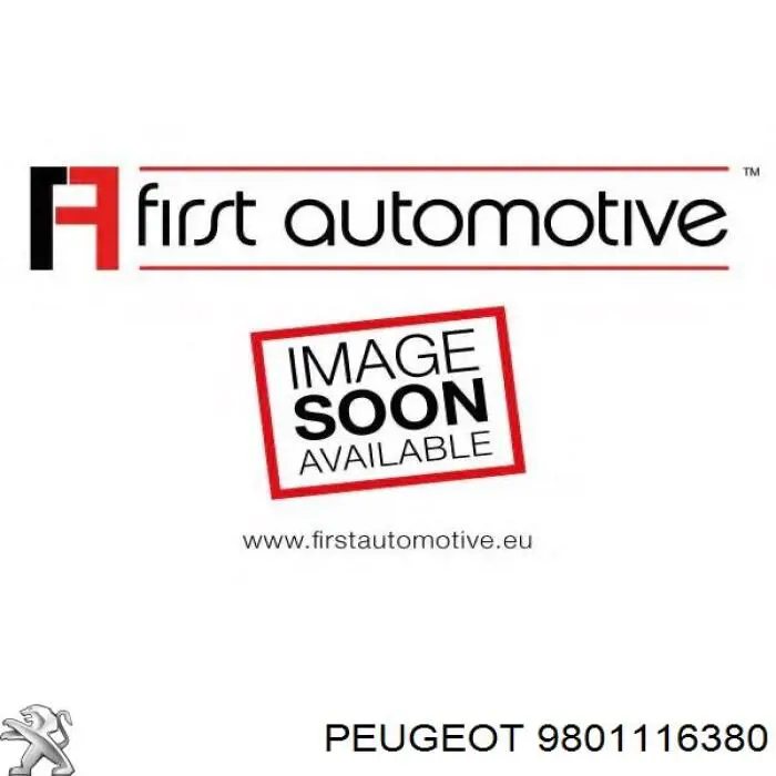 Фильтр тонкой очистки топлива Peugeot/Citroen 9801116380 цена, от 19.79 USD