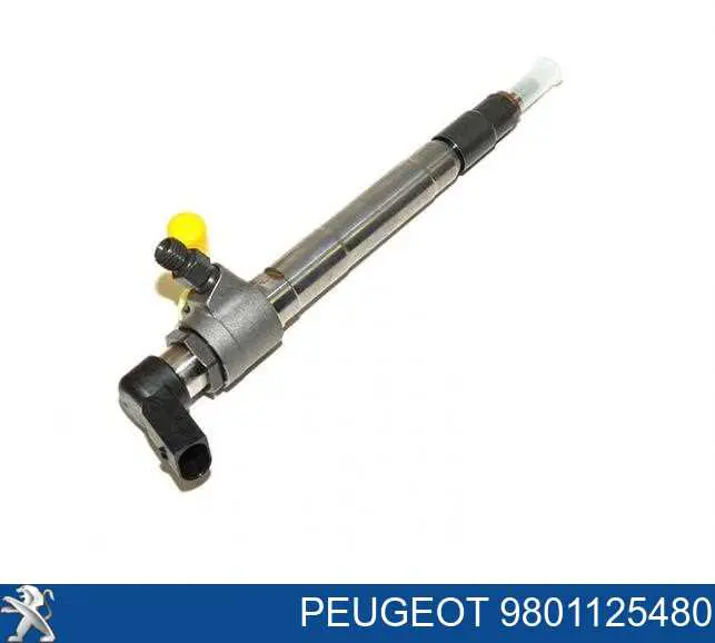9801125480 Peugeot/Citroen injetor de injeção de combustível