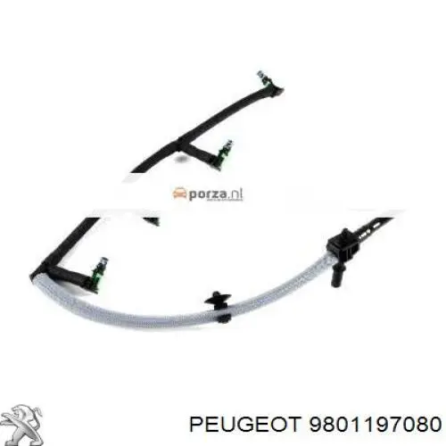 Tubo de combustível, inverso desde os injetores 9801197080 Peugeot/Citroen