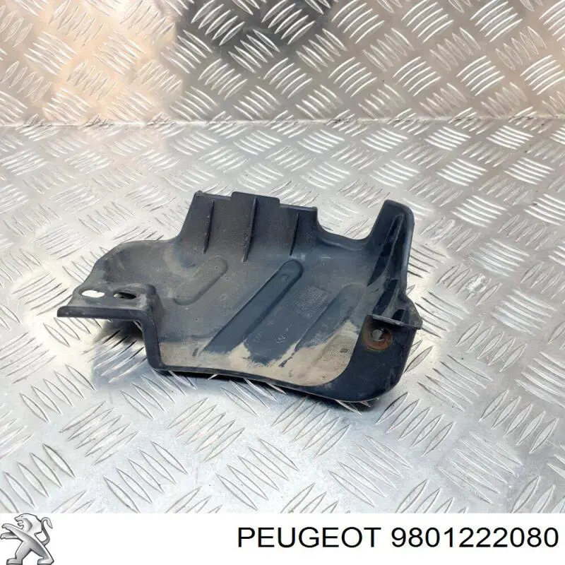 9801222080 Peugeot/Citroen 