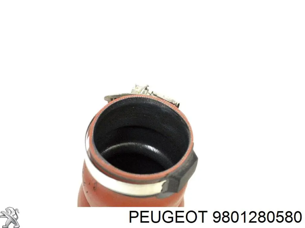 Tubo flexible de aire de sobrealimentación derecho 9801280580 Peugeot/Citroen