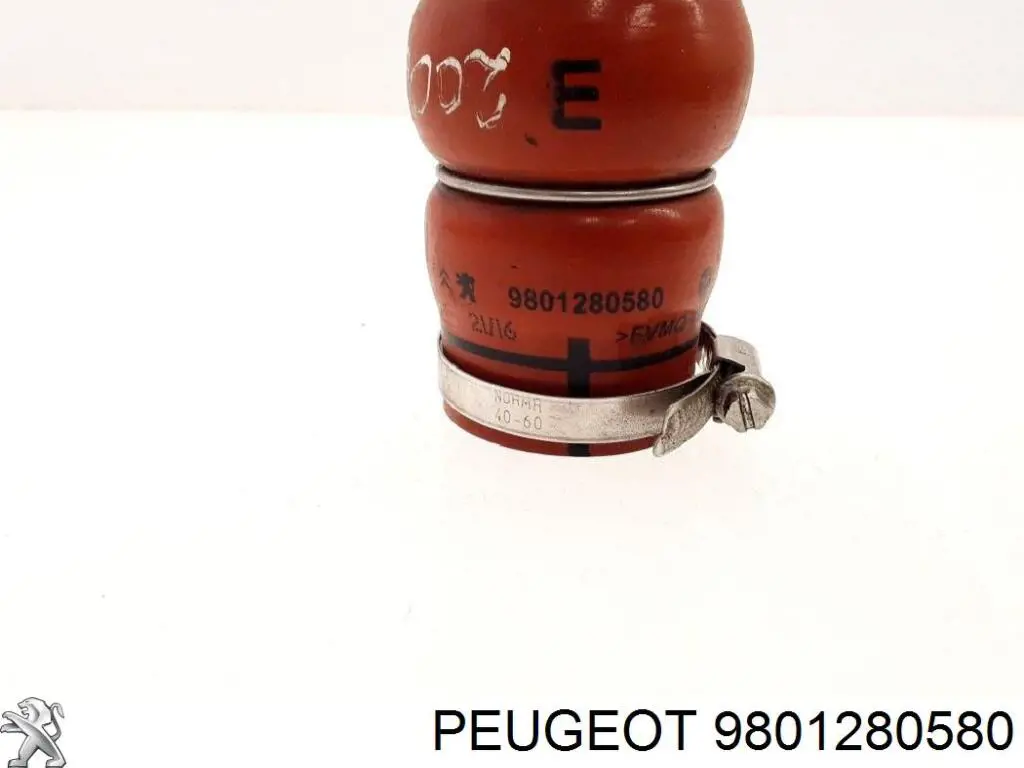 9801280580 Peugeot/Citroen mangueira (cano derivado direita de intercooler)