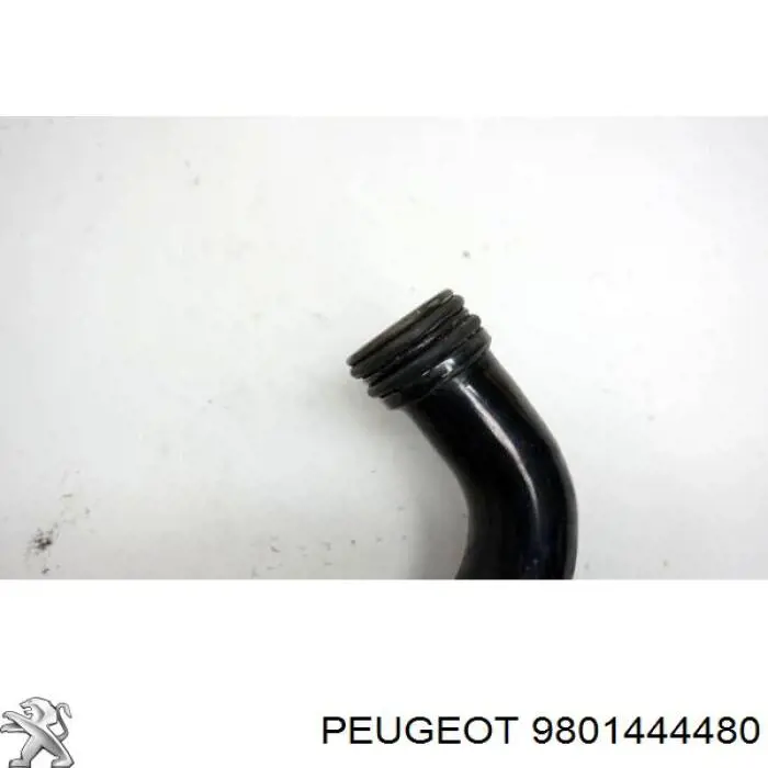 9801444480 Peugeot/Citroen Шланг термостата