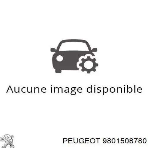 9801508780 Peugeot/Citroen 