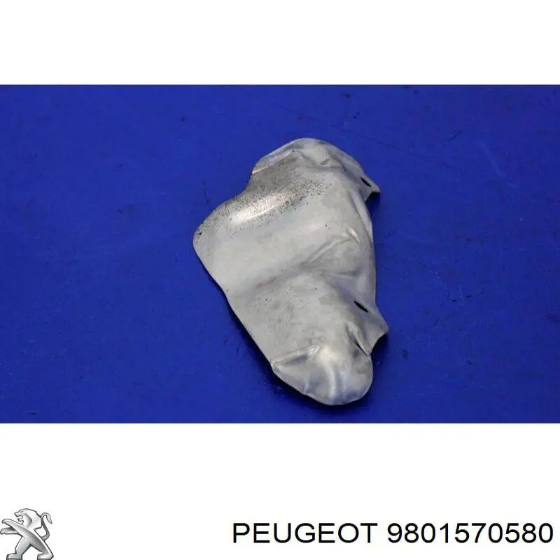9801570580 Peugeot/Citroen 