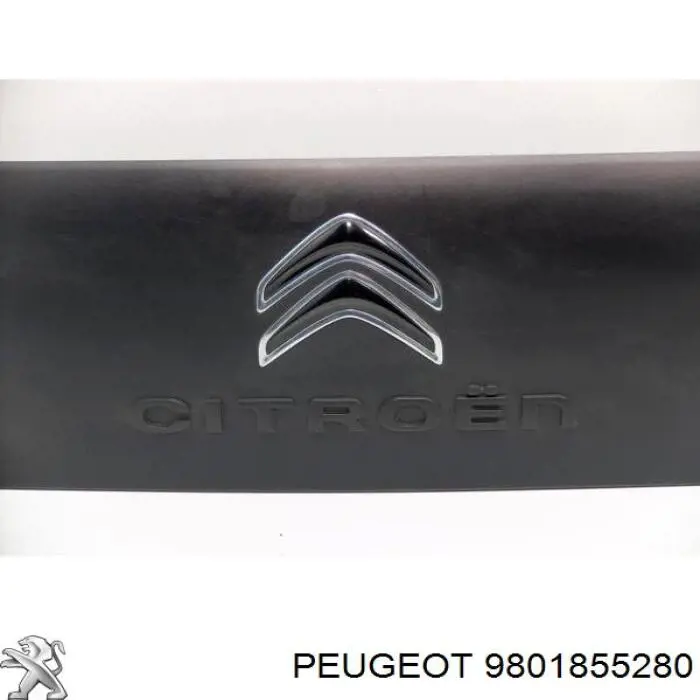 Купить 9801855280 Peugeot/Citroen 