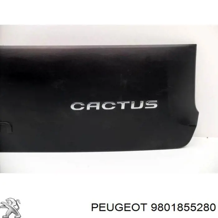  9801855280 Peugeot/Citroen