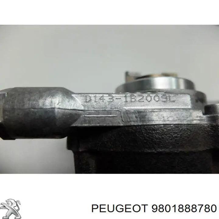 Вакуумный насос 9801888780 Peugeot/Citroen