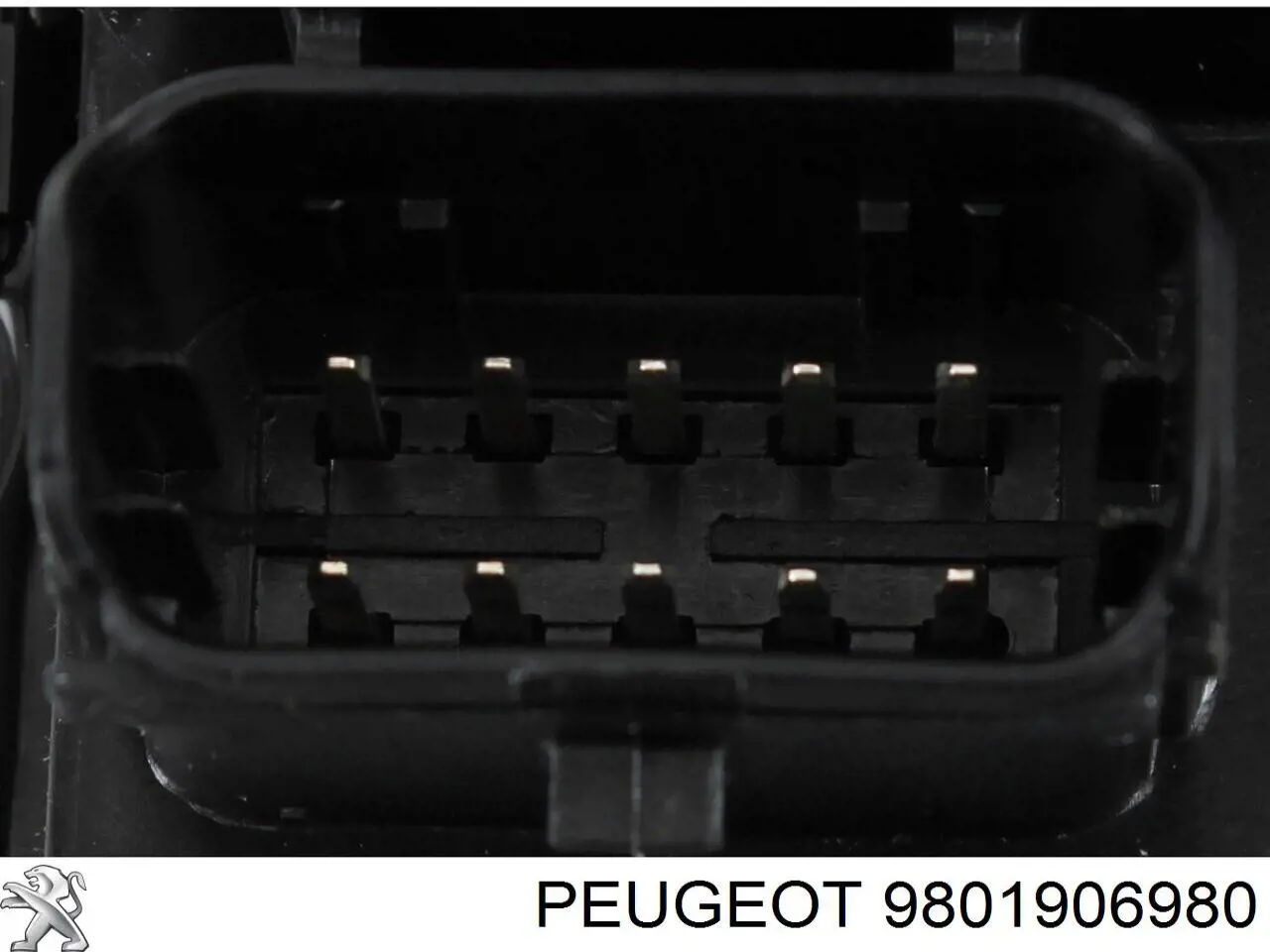 9801906980 Peugeot/Citroen 