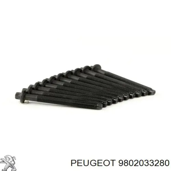 Болт головки блока циліндрів, ГБЦ 9802033280 Peugeot/Citroen