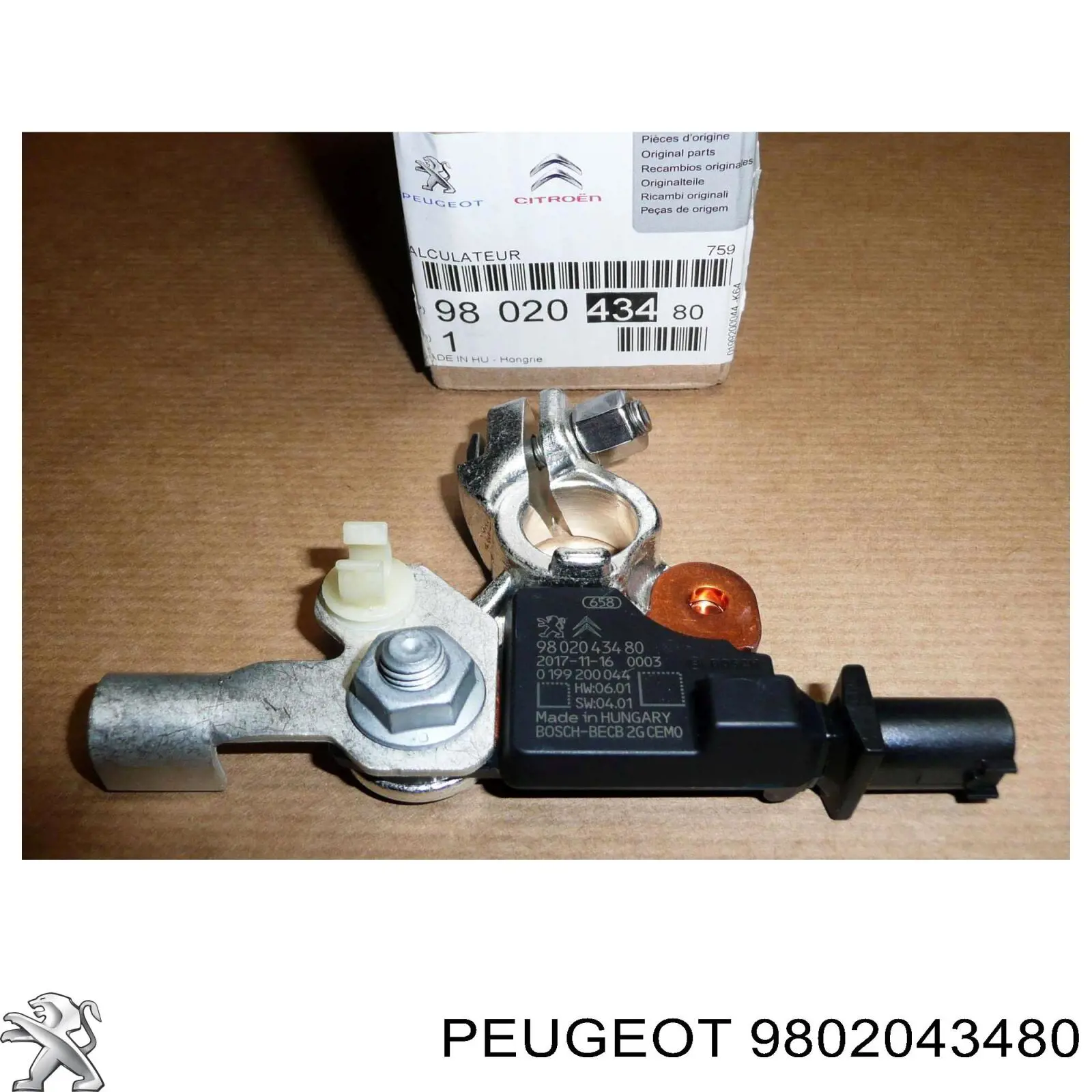  9802043480 Peugeot/Citroen