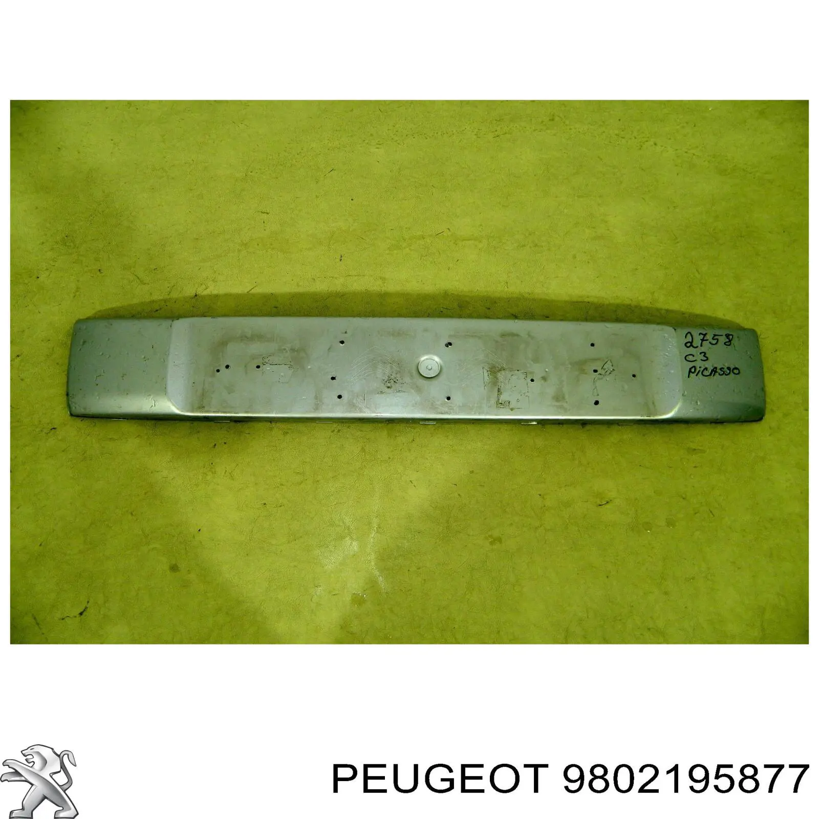 9802195877 Peugeot/Citroen