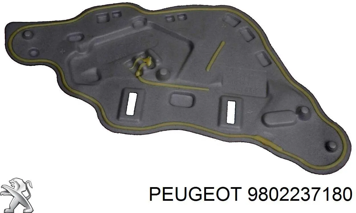  9802237180 Peugeot/Citroen