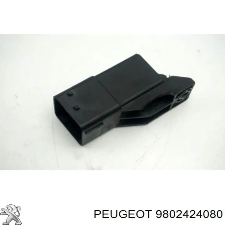 Реле свечей накаливания Peugeot/Citroen 9802424080