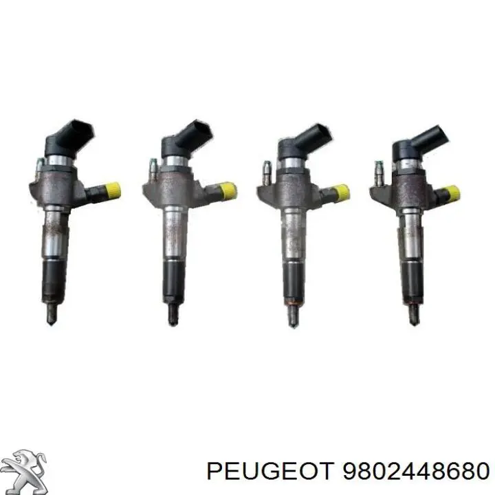 Топливные форсунки 9802448680 Peugeot/Citroen
