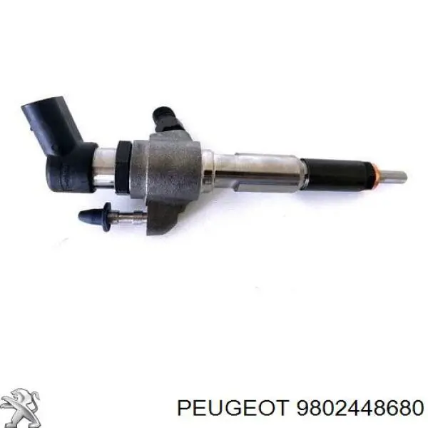 9802448680 Peugeot/Citroen Топливные форсунки