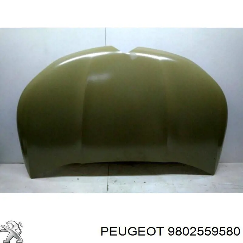 9802559580 Peugeot/Citroen капот