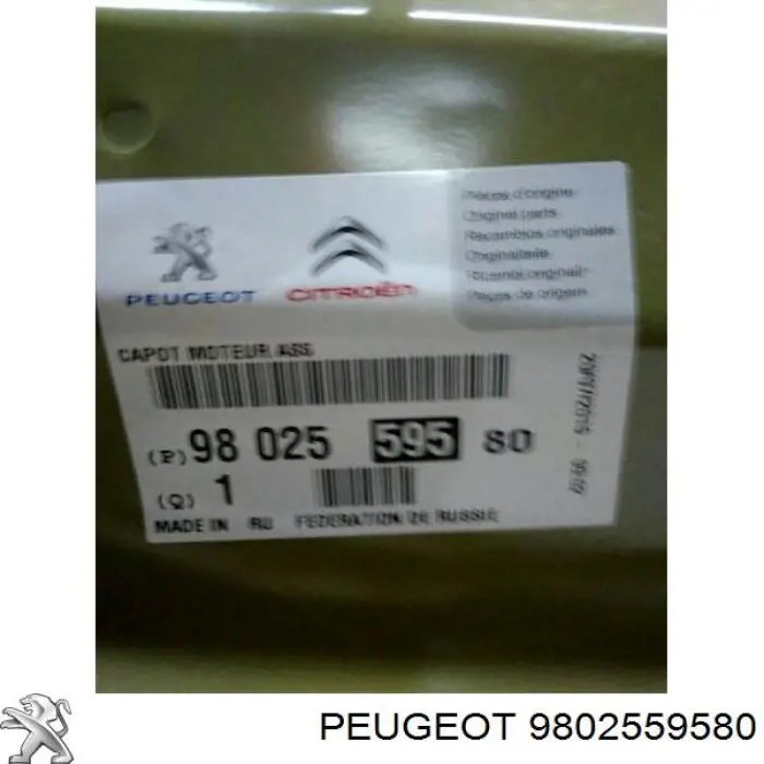 Купить 9802559580 Peugeot/Citroen Капот