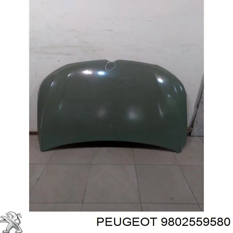 9802559580 Peugeot/Citroen Капот