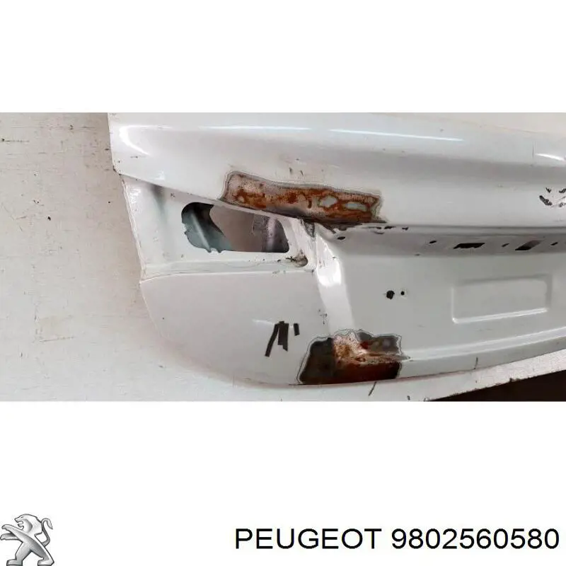 9802560580 Peugeot/Citroen крышка багажника