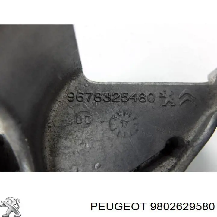 9802629580 Peugeot/Citroen 