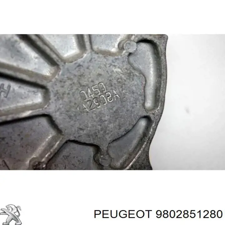 Bomba de vacío 9802851280 Peugeot/Citroen