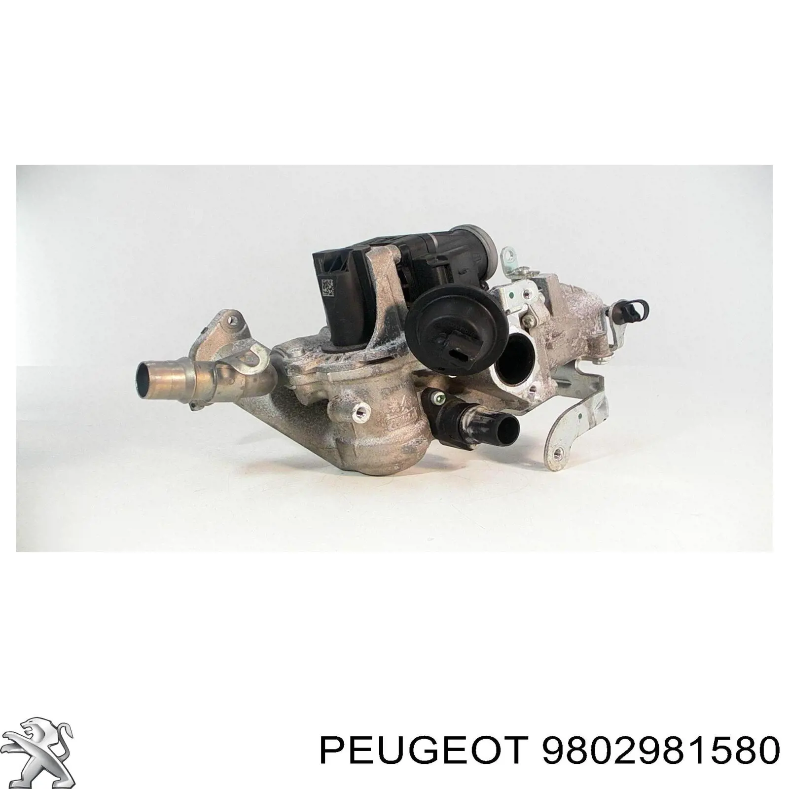  9802981580 Peugeot/Citroen