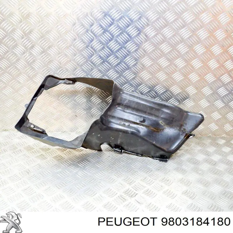 9803184180 Peugeot/Citroen 