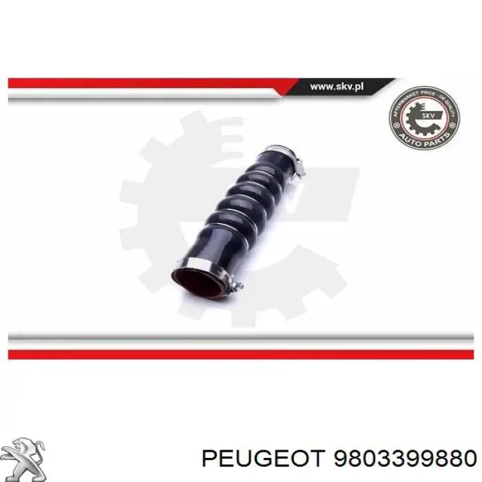 9803399880 Peugeot/Citroen mangueira (cano derivado de intercooler)