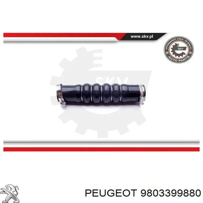Tubo flexible de aire de sobrealimentación 9803399880 Peugeot/Citroen