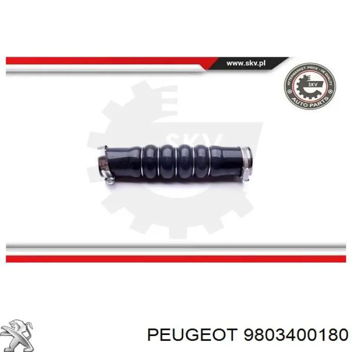 Шланг/патрубок интеркуллера Thermotec DCC074TT цена, от 39.93 USD