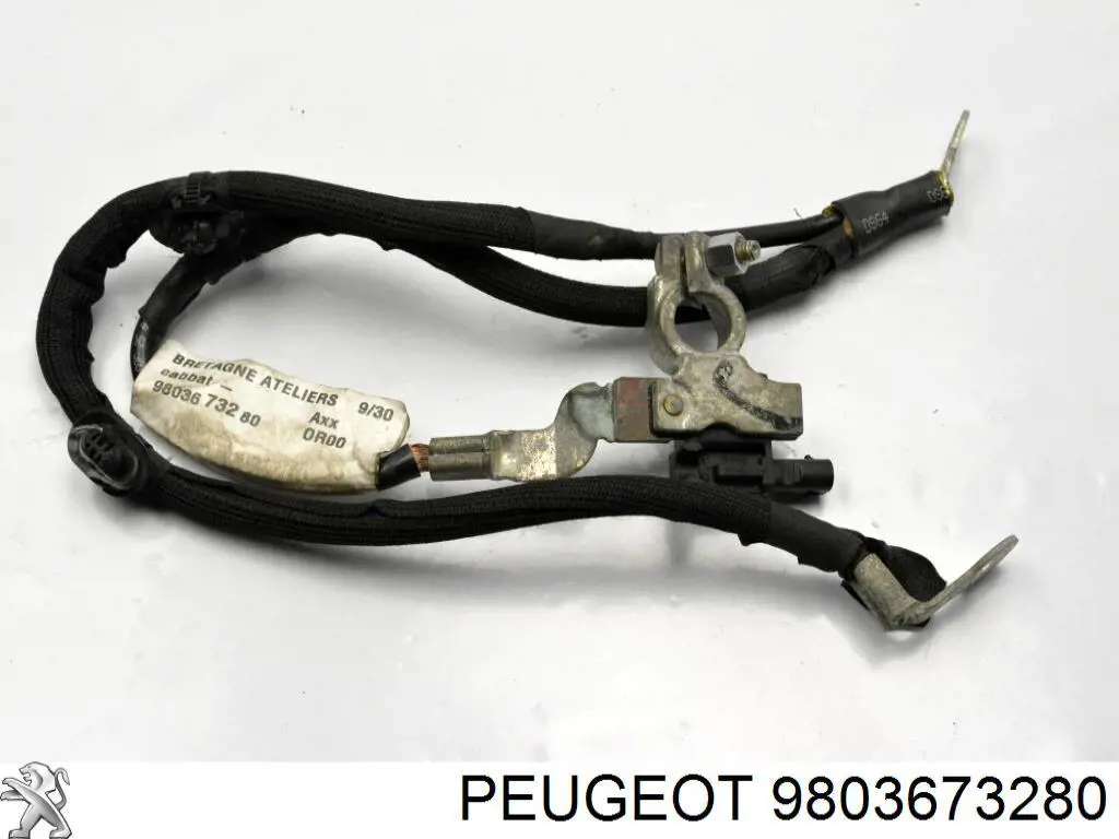 9803673280 Peugeot/Citroen 