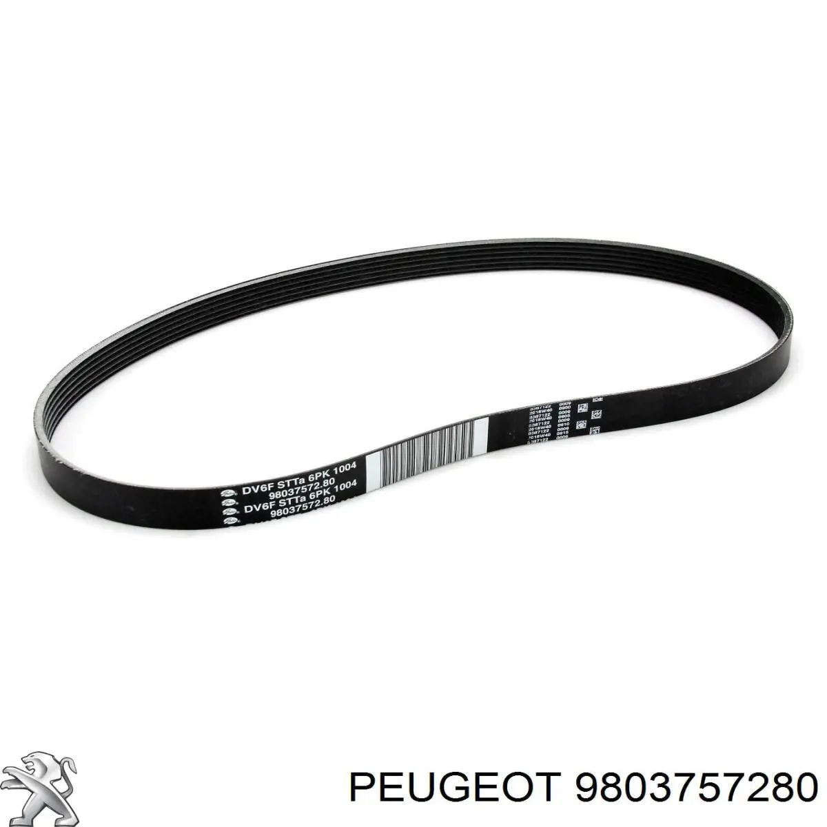 6PK1004 Sasic Поликлиновый ремень