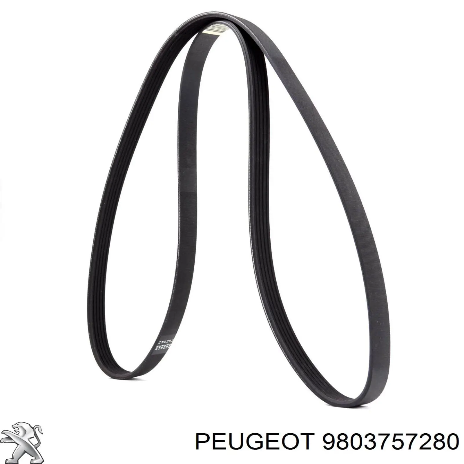 Клиновый ремень Sasic 6PK1004 цена, от 12.45 USD