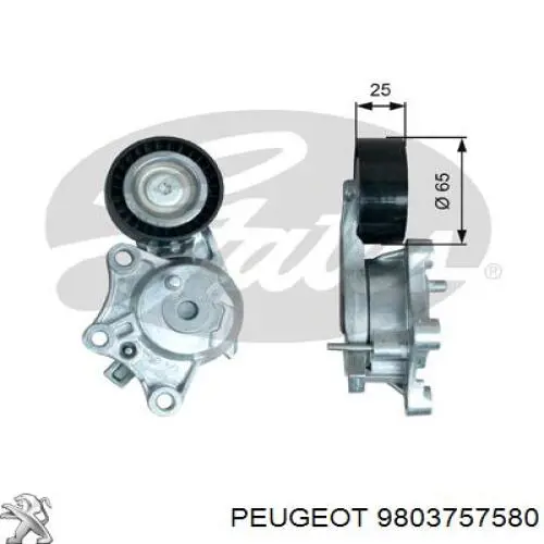 9803757580 Peugeot/Citroen reguladora de tensão da correia de transmissão