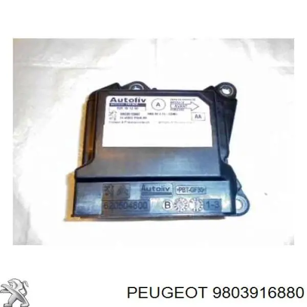 9803916880 Peugeot/Citroen 