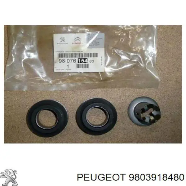 Купить 3639874 Peugeot/Citroen 