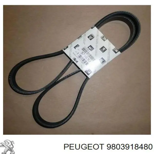  3639874 Peugeot/Citroen