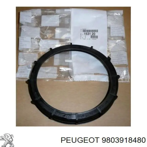 Купить 3639874 Peugeot/Citroen 