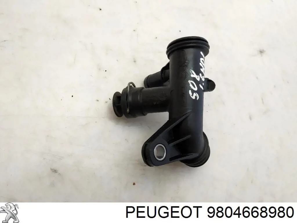 9804668980 Peugeot/Citroen 