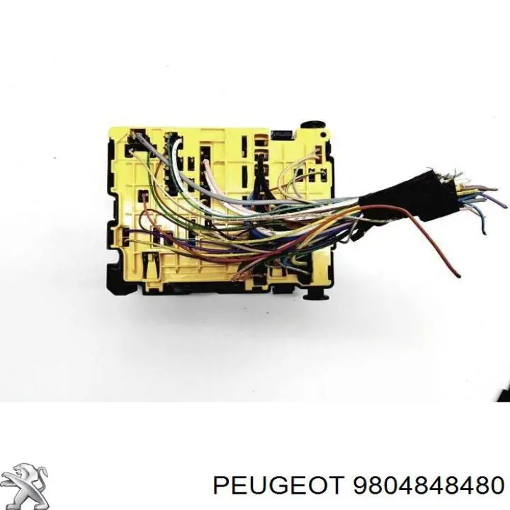 9804848480 Peugeot/Citroen 