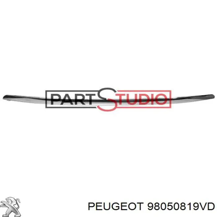 98050819VD Peugeot/Citroen 