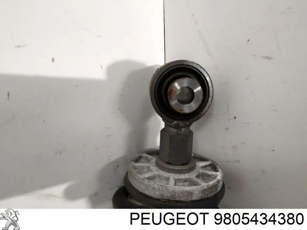 Amortiguador trasero 9805434380 Peugeot/Citroen