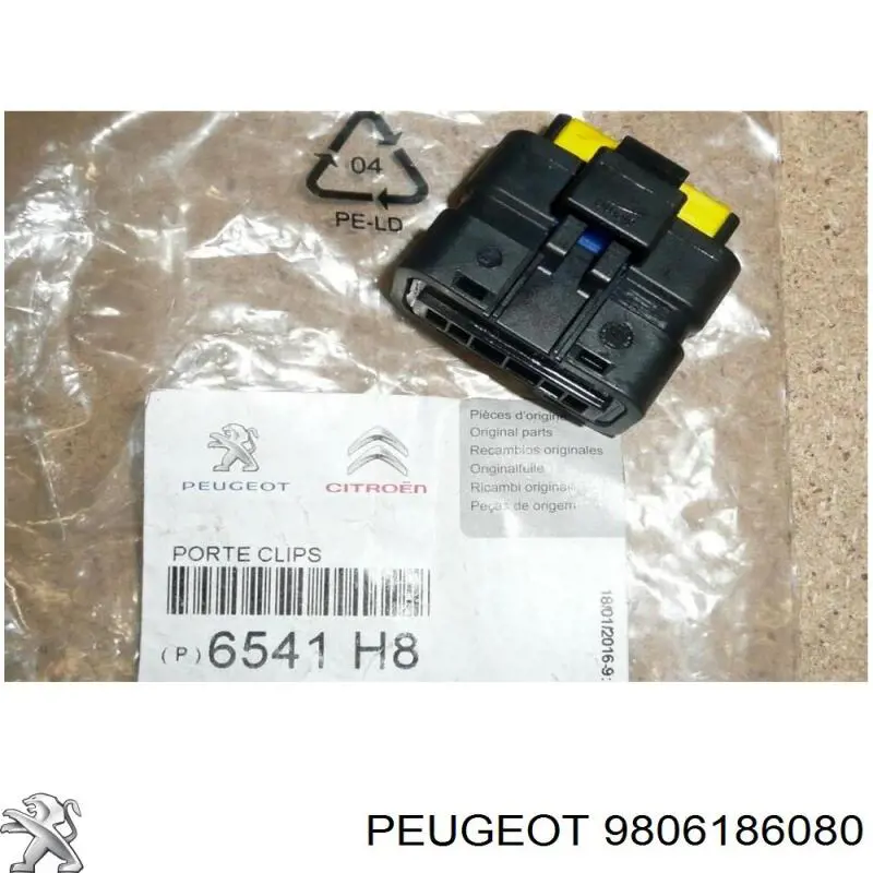 9806186080 Peugeot/Citroen 