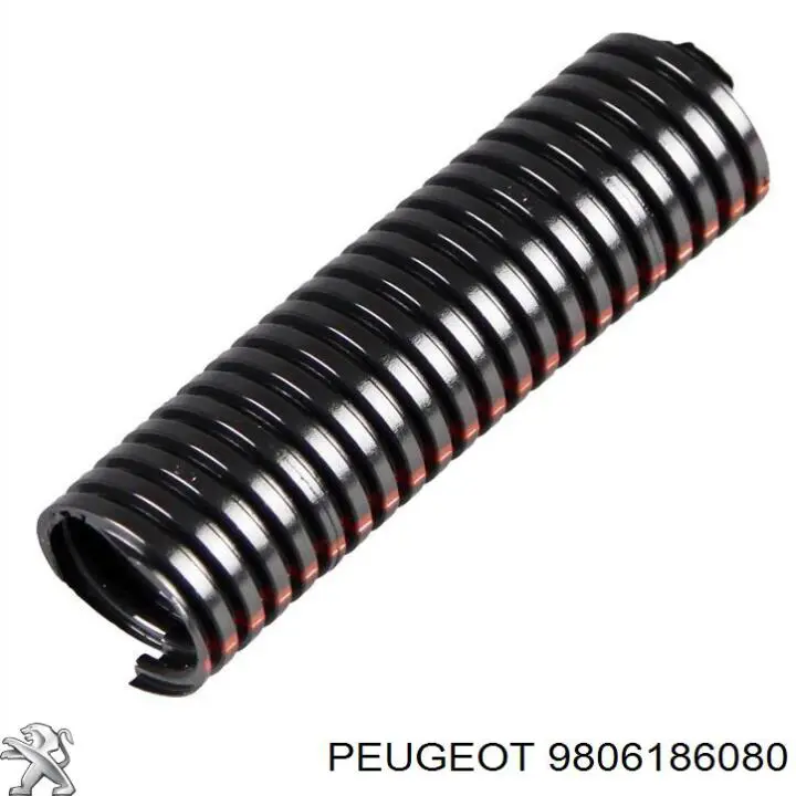  9806186080 Peugeot/Citroen