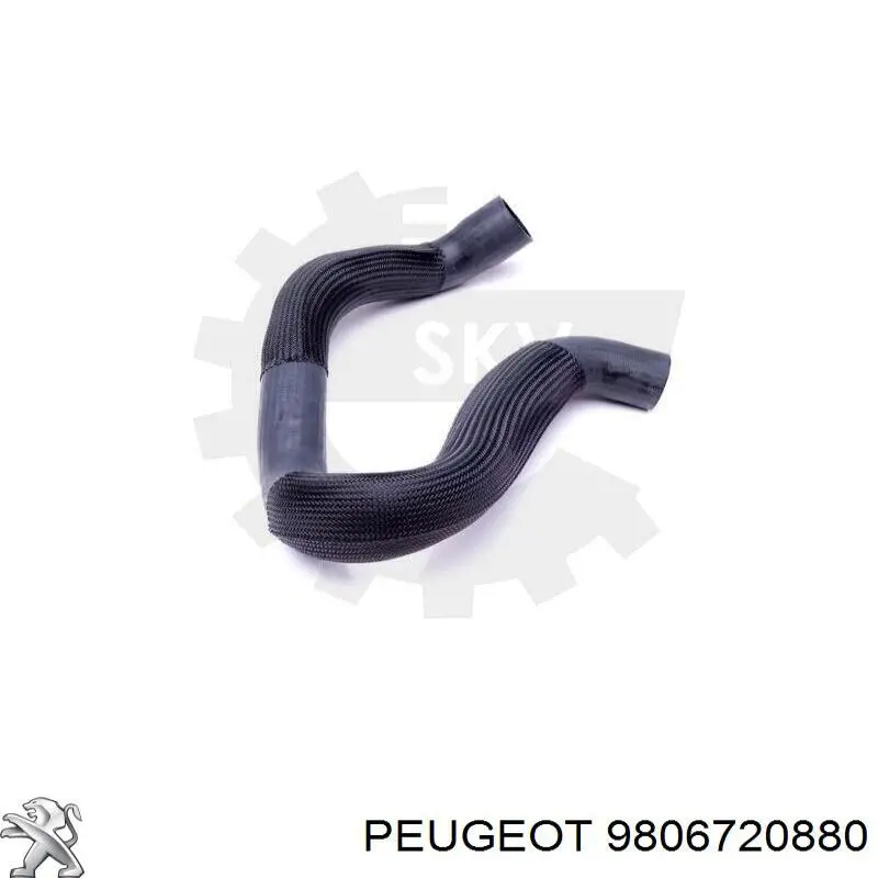 Tubo flexible de aire de sobrealimentación superior 9806720880 Peugeot/Citroen