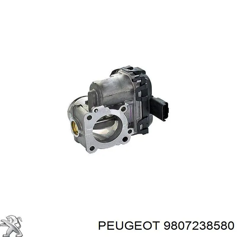 9807238580 Peugeot/Citroen Дроссельная заслонка